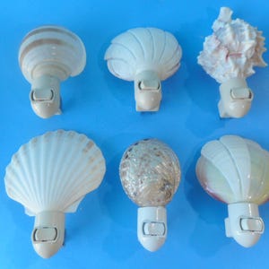 Sea Shell Night Lights-Coastal Beach Lighting-Seashell Art