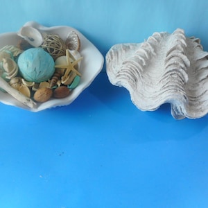 Clam Shell Table Decor-Resin-Coastal Nautical Beach