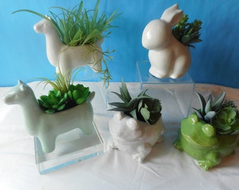 Artificial Succulent Arrangements-Llama-Frog-Bunny Bird- Coastal Home Decor-Flower Arrangement