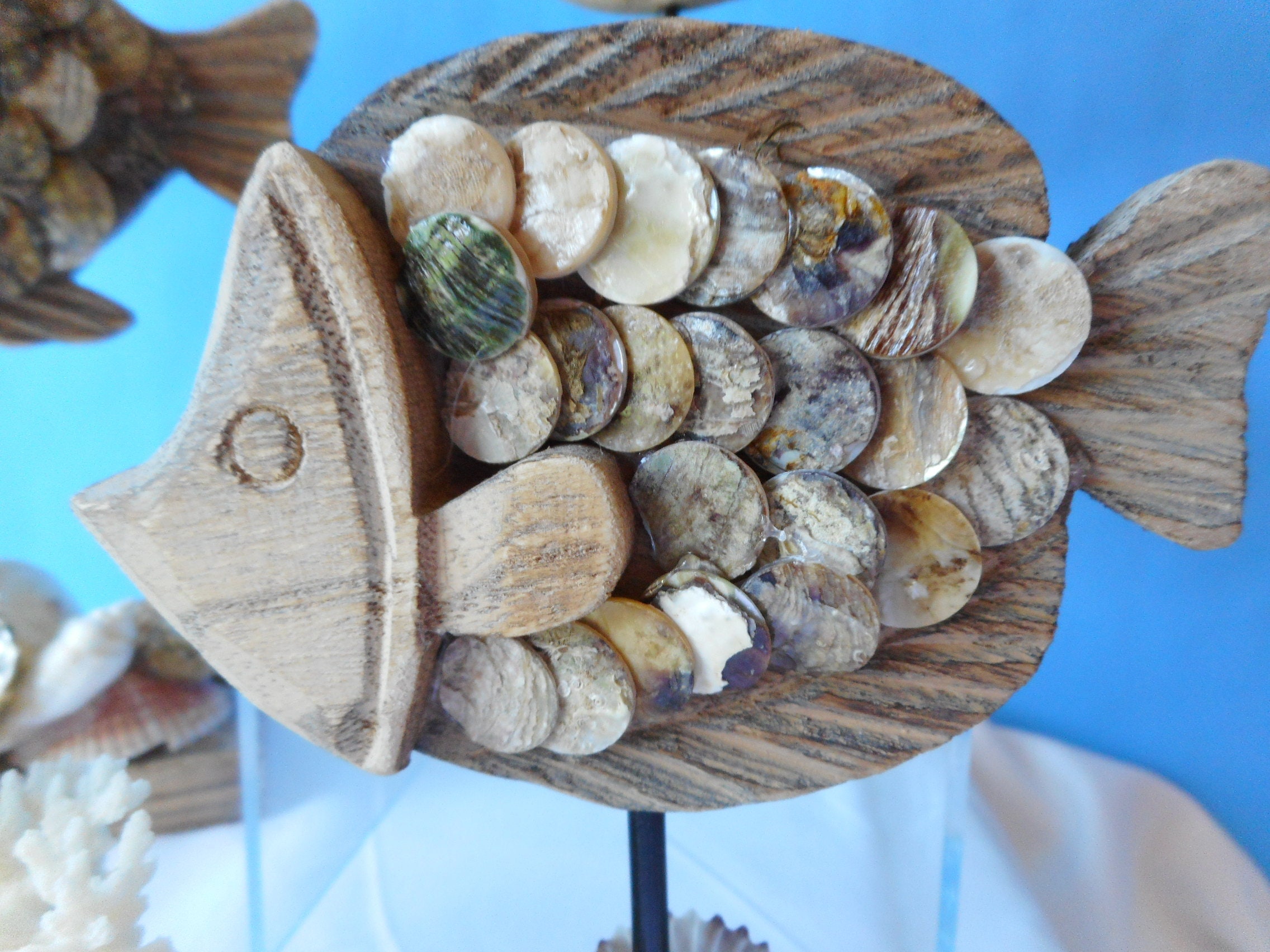 Sea Shell Wood Fish-Coastal Home Decor-Beach Decor-Sea Shell | Etsy