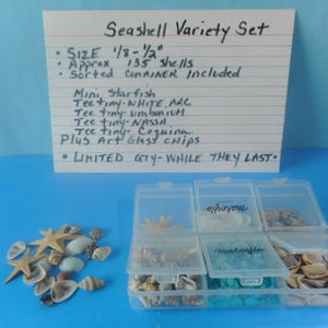 May include: A seashell variety set including approximately 135 shells, mini starfish, and art glass chips in a sorted container. The handwritten sign lists sizes from 1/8 to 1/2 inches and includes items like white arc, umbrium, nassa, and coquina shells.