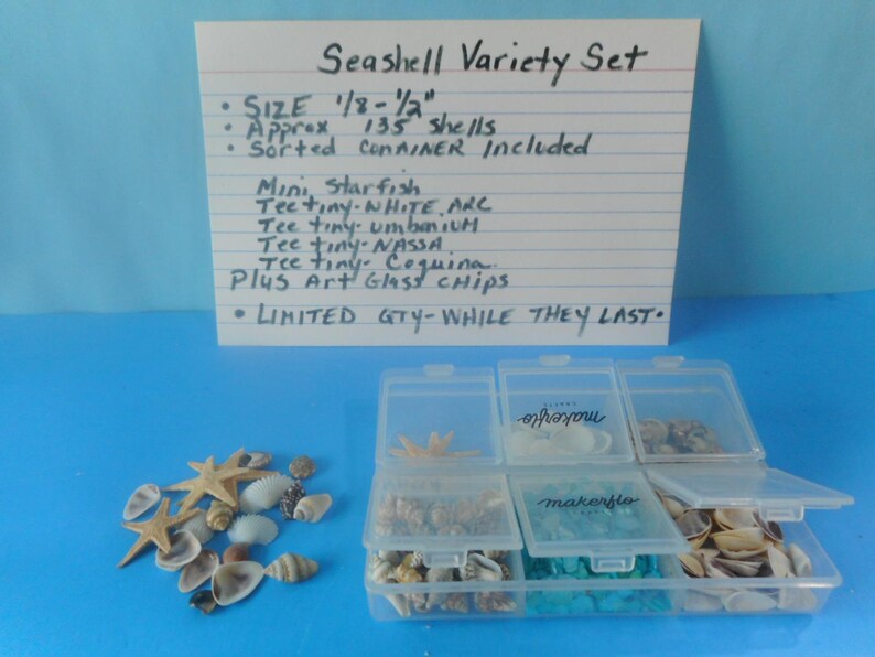 May include: A seashell variety set including approximately 135 shells, mini starfish, and art glass chips in a sorted container. The handwritten sign lists sizes from 1/8 to 1/2 inches and includes items like white arc, umbrium, nassa, and coquina shells.