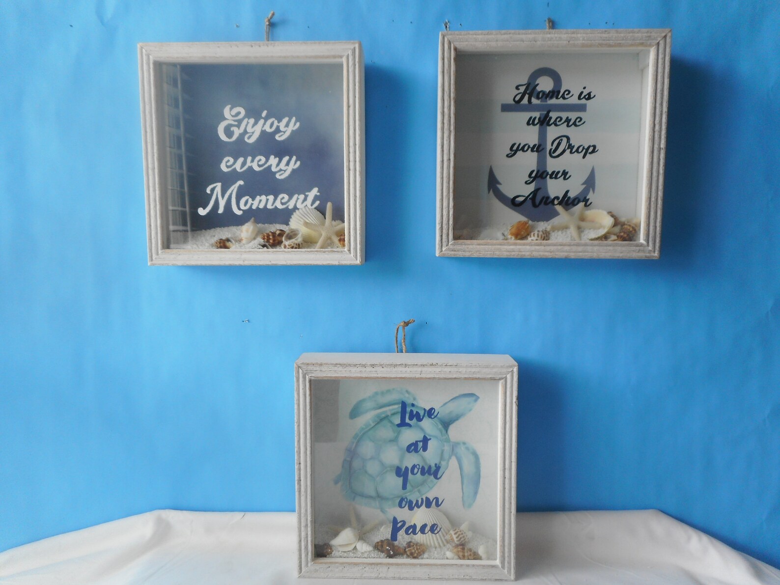 Coastal SeaShell Shadow BoxesBeach Framed Wall ArtNautical Etsy