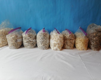 Bulk Craft Shells-1 kilo-Craft SeaShell Supply