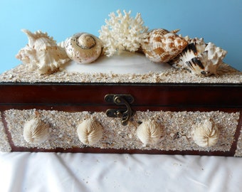 Barbados Seashell Box: Coastal Beach Decor, Fine Shell Art
