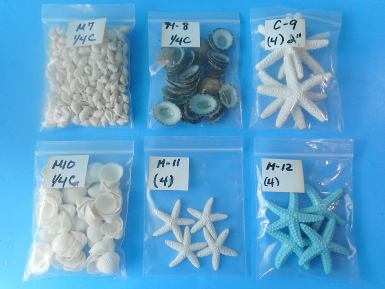 May include: Six clear plastic bags containing various sea life specimens. Top row: small white shells labeled M7 1/4C, dark blue-grey limpet shells labeled M-8 1/4C, and white starfish labeled C-9 (4) 2". Bottom row: white scallop shells labeled M10 1/4C, white starfish labeled M-11 (4), and light blue starfish labeled M-12 (4).