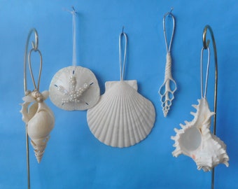 SeaShell Ornaments Variety-More Choices)