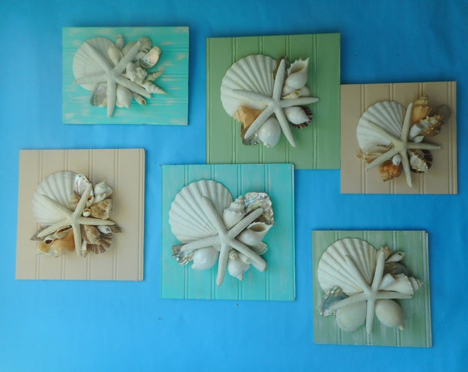 Sea Shell Wall Artsea Shell Wall Plaque Beach Wall Etsy