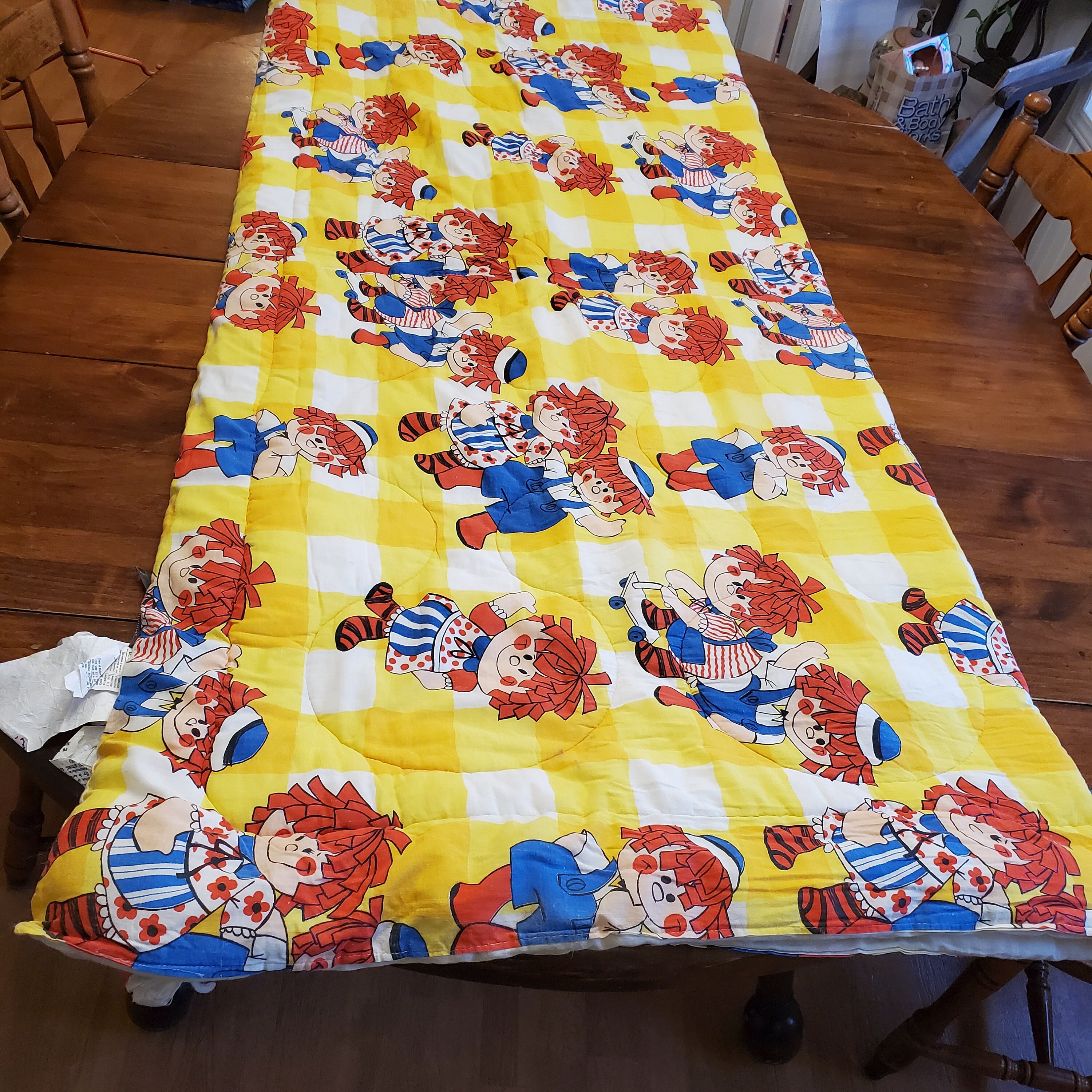 1970s Raggedy Ann & Andy Standardsized Thick Sleeping Bag Etsy