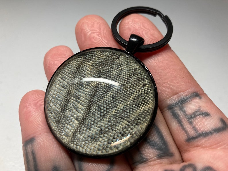 Real Iguana Skin Keychain