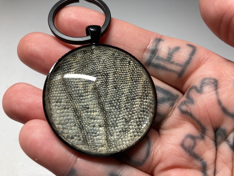 Real Iguana Skin Keychain