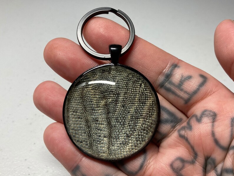 Real Iguana Skin Keychain