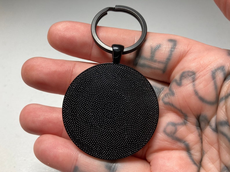 Real Iguana Skin Keychain