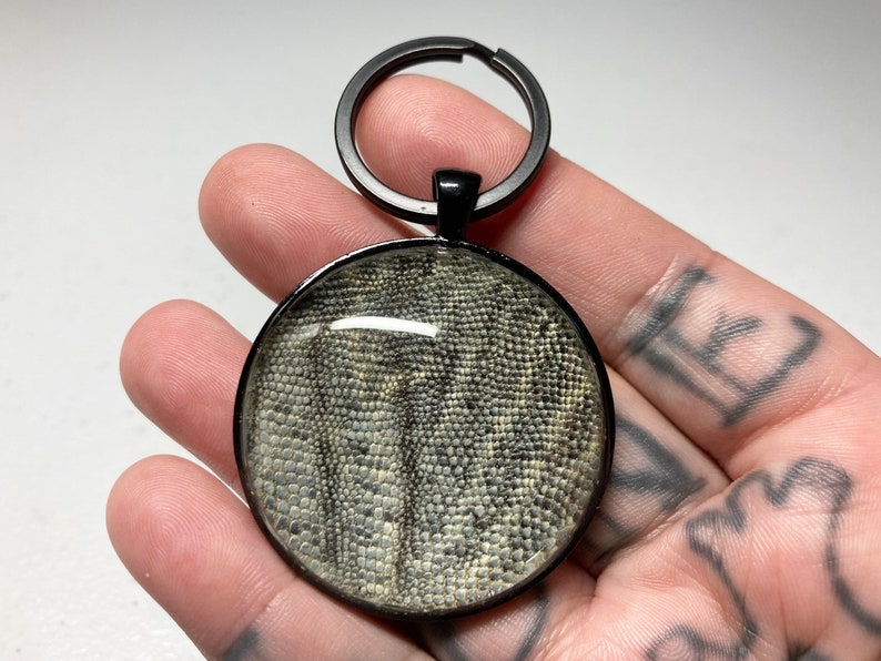 Real Iguana Skin Keychain
