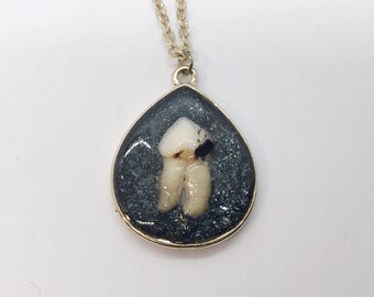 Deer Tooth on Gold Plaque with Graphite Necklace