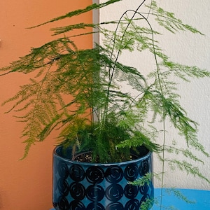 Rare vintage Arabia Finland ceramic flower pot named &quot;Kerä&quot; by Richard Lindh, 1964 - Made in Finland