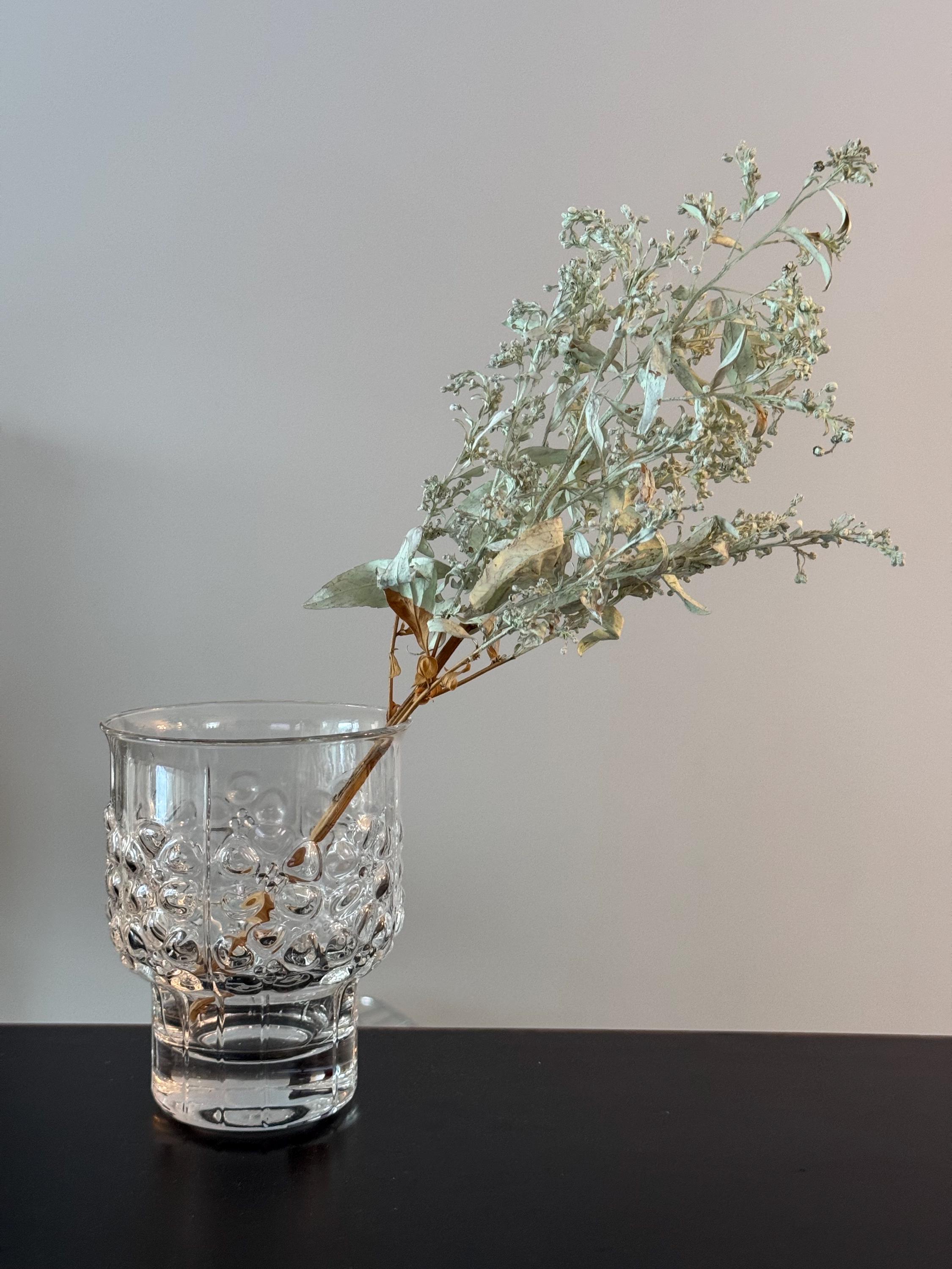 フィンランドのイッタラガラスの花瓶「レイニッキ」、デザイナー