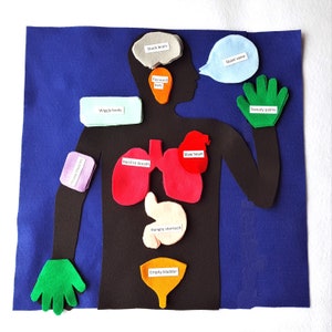 Body Feelings Felt Board: Anatomy Learning Set