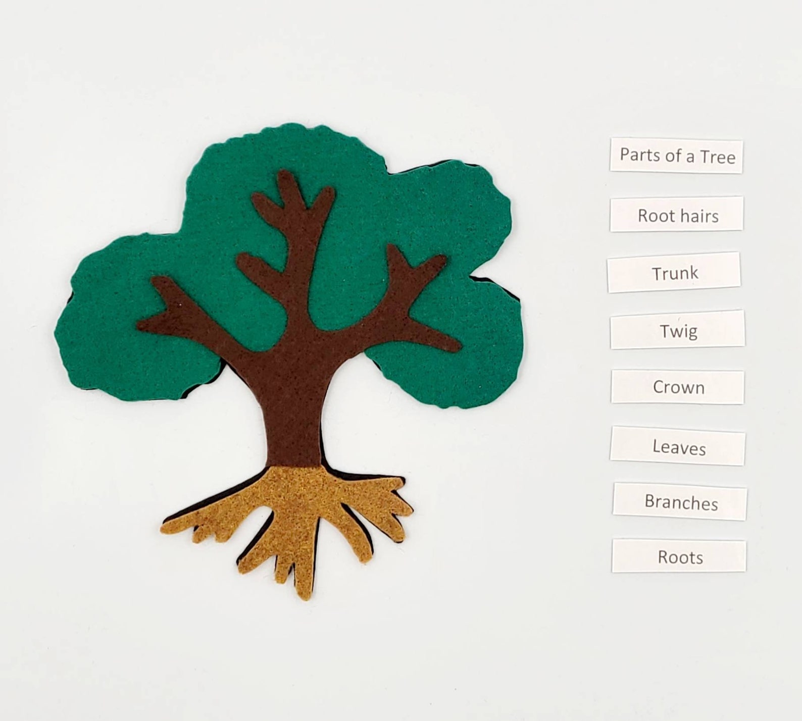 Felt Tree Puzzle Montessori Tree Anatomy Felt Set Etsy Canada