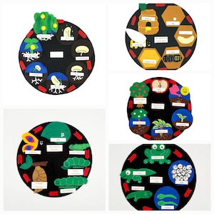 5 Life Cycle Felt Sets, Frog, Butterfly, Bean, Apple Tree, Bee, felt sets, preschool curriculum, Life cycles, playbased learning, felt bulk