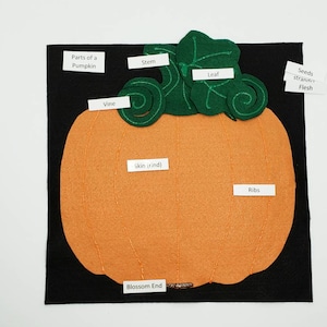 Pumpkin Anatomy Felt Board Set: Montessori Homeschool Science