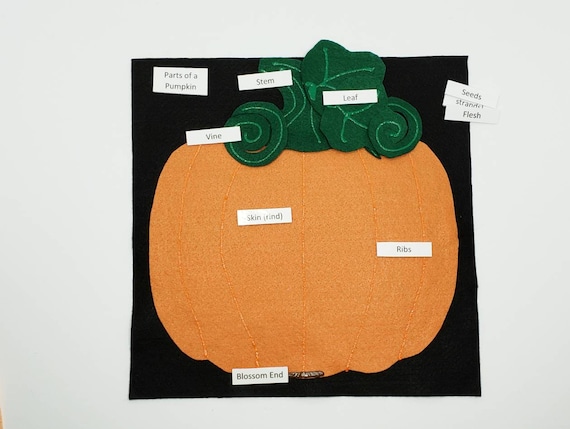 Pumpkin Anatomy Felt Set - Montessori Learning Toy For Fall Homeschool Science