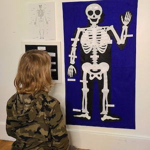 Human Skeleton Felt Board Set: Montessori Homeschool Anatomy