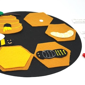 Honey Bee Life Cycle, Felt Board Set, life cycle felt board, honey bee felt set, preschool science, homeschool biology | montessori