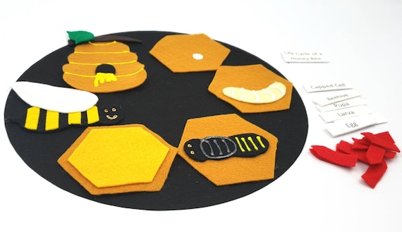 honey bee felt set Honey Bee Life Cycle life cycle felt board homeschool biology preschool science Felt Board Set montessori
