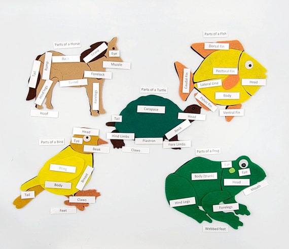 KAAYEE Puzzles en Bois, Cheval 3D Animaux, Wooden Puzzle Adulte, Puzzle Forme Animaux, avec Boîte-Cadeau en Bois