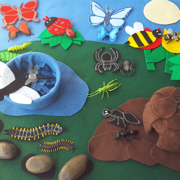 Butterfly Habitat Etsy