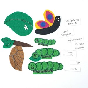 May include: Felt craft depicting the life cycle of a butterfly. The stages include eggs, small caterpillar, big caterpillar, chrysalis, and butterfly. Each stage is represented by a felt cutout with a smiling face.