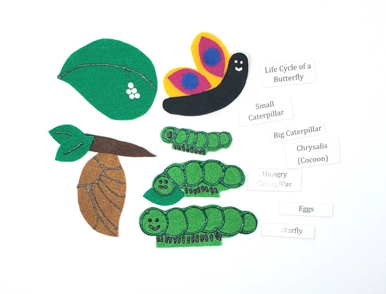 May include: Felt craft depicting the life cycle of a butterfly. The stages include eggs, small caterpillar, big caterpillar, chrysalis, and butterfly. Each stage is represented by a felt cutout with a smiling face.