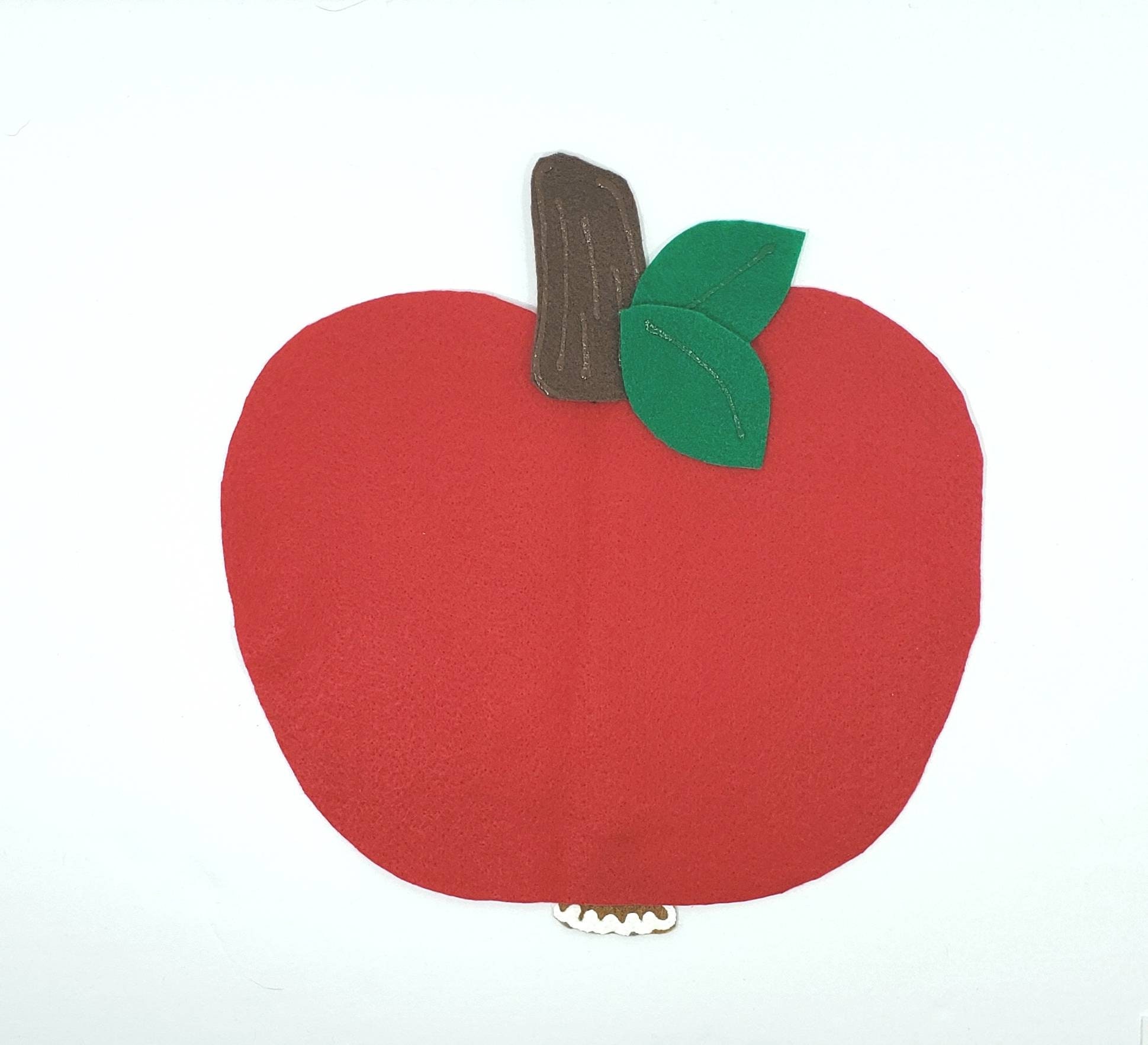 Apple Anatomy Felt Board Apple Parts Felt Set Apple Etsy Canada