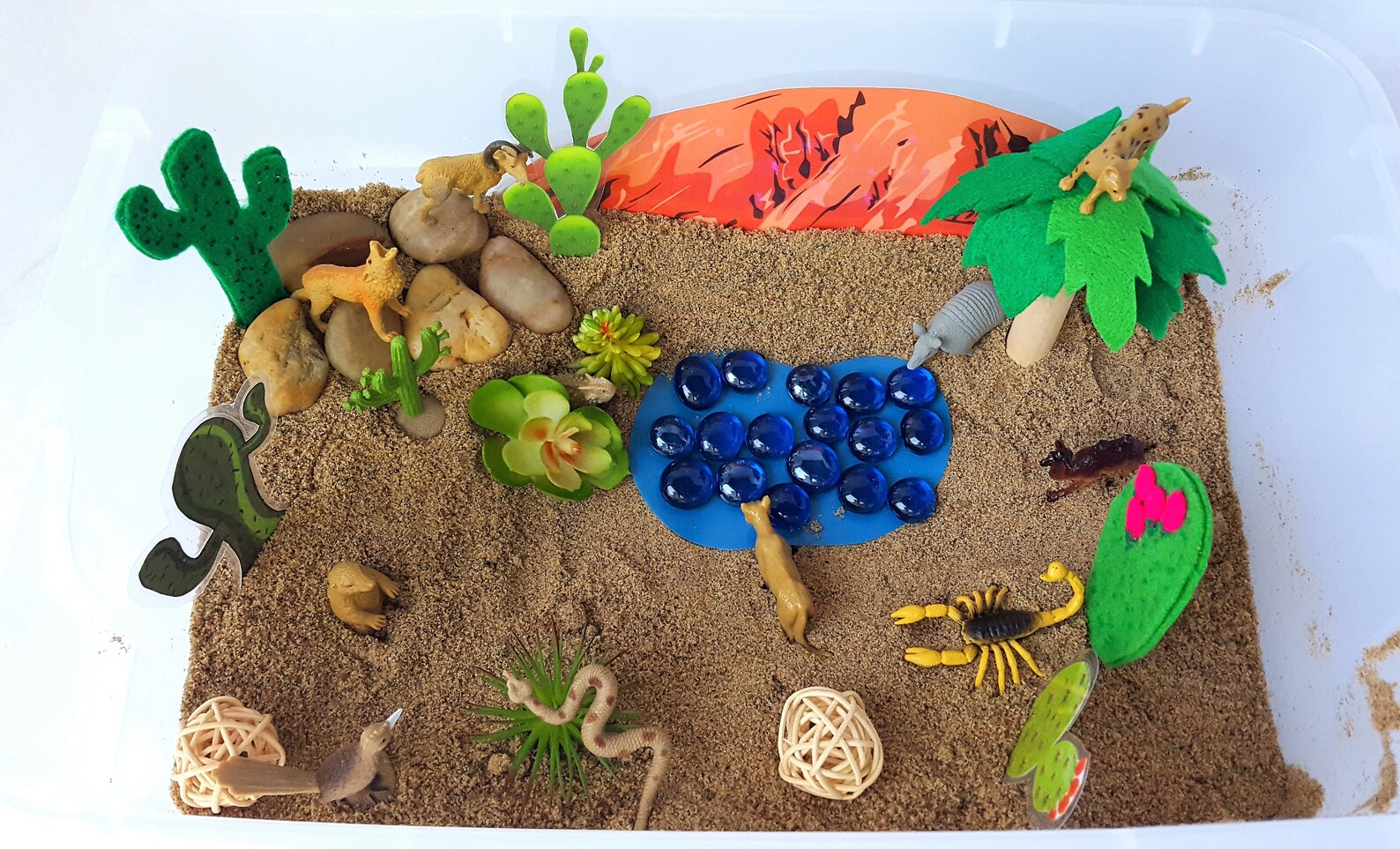 Desert Sensory Bin Desert Habitat Oasis Sensory Bin Oasis Etsy