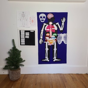 Set di anatomia in feltro: ossa e organi - Scienza Montessori