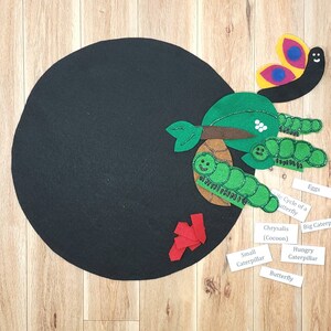 May include: A felt board with a black circle in the center.  The felt board has a life cycle of a butterfly scene with a butterfly, eggs, caterpillars, and a chrysalis.  The words "Life Cycle of a Butterfly", "Eggs", "Big Caterpillar", "Chrysalis (Cocoon)", "Small Caterpillar", "Hungry Caterpillar", and "Butterfly" are written on the felt board.