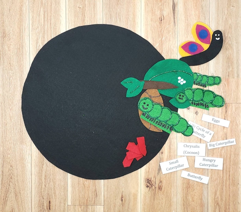 May include: A felt board with a black circle in the center.  The felt board has a life cycle of a butterfly scene with a butterfly, eggs, caterpillars, and a chrysalis.  The words "Life Cycle of a Butterfly", "Eggs", "Big Caterpillar", "Chrysalis (Cocoon)", "Small Caterpillar", "Hungry Caterpillar", and "Butterfly" are written on the felt board.