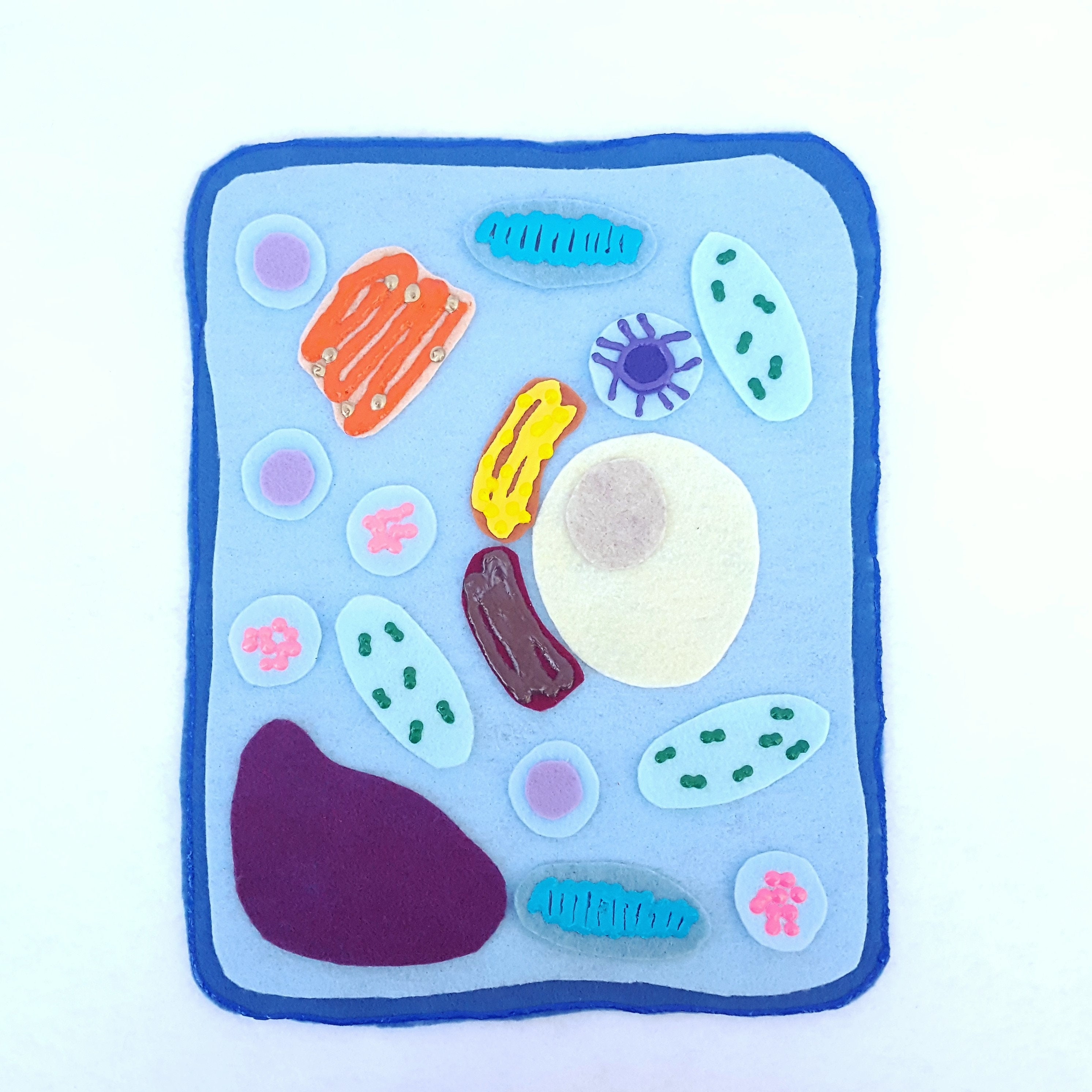 Plant Cell Felt Board Plant Cell Felt Set Plant Cell Etsy UK