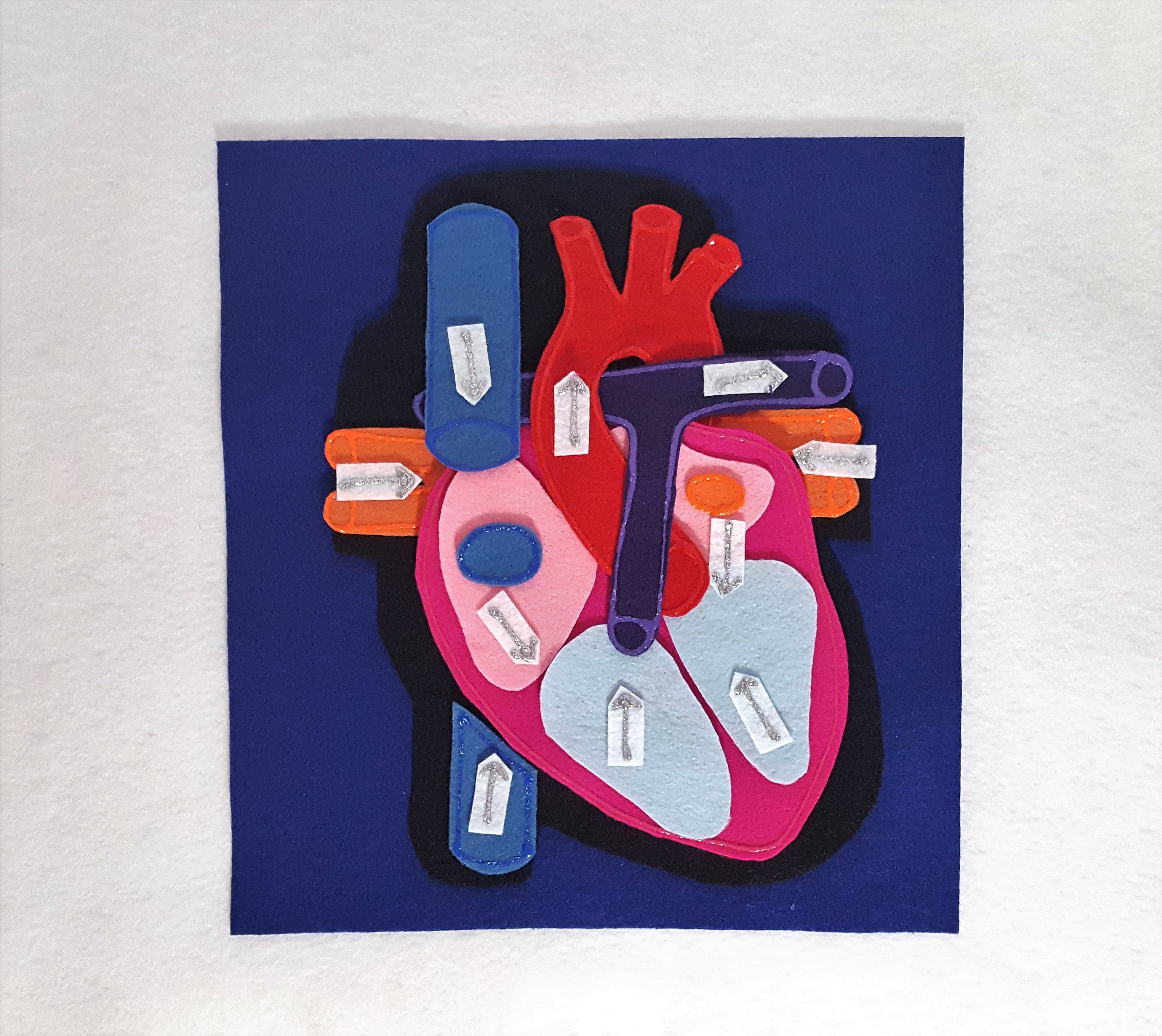 解剖学フェルトモデルセット：心臓モデル、科学学習 - Etsy 日本