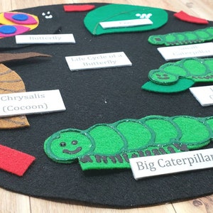 May include: A felt board depicting the life cycle of a butterfly. The stages include a butterfly, chrysalis (cocoon), big caterpillar, hungry caterpillar, and small caterpillar. The board also includes a green leaf and the text "Life Cycle of a Butterfly".