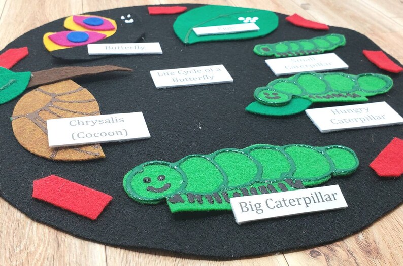 May include: A felt board depicting the life cycle of a butterfly. The stages include a butterfly, chrysalis (cocoon), big caterpillar, hungry caterpillar, and small caterpillar. The board also includes a green leaf and the text "Life Cycle of a Butterfly".