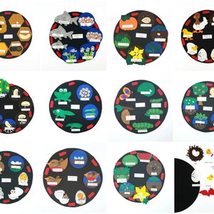 Life Cycle felt board multi set