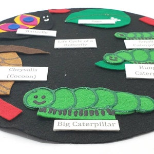 May include: A felt circle depicting the life cycle of a butterfly. The stages include a butterfly, egg, chrysalis, and caterpillar. The caterpillar is shown in four stages: small, hungry, big, and a butterfly.
