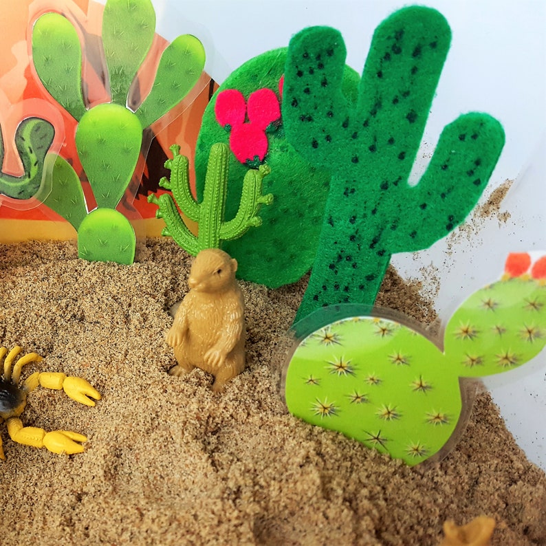Desert Sensory Bin Desert Habitat Oasis Sensory Bin Oasis Etsy