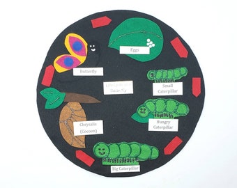 Butterfly Life Cycle Series Felt Board Set with laminated labels.  Daycare ECE science biology lifecycle homeschool caterpillar cocoon