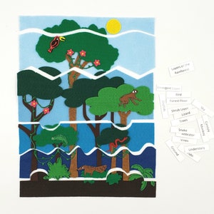 Rainforest Layers Felt Board: Homeschool Science Flannel Story