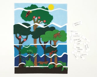 Rainforest Layers | Layers of the Rainforest Felt | Sky Felt Board | Flannel Story | Homeschool science | Unit Study | Twig and Daisy