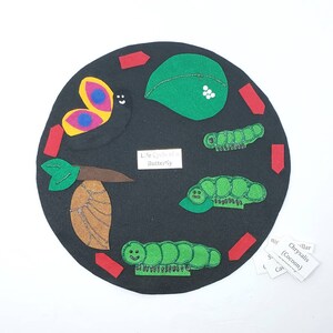 May include: A black felt circle with a life cycle of a butterfly illustration. The illustration shows a butterfly, a chrysalis, a caterpillar, and eggs. The text "Life Cycle of a Butterfly" is written on the circle.