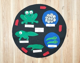 Frog Life Cycle Felt Model : Homeschool Science Set